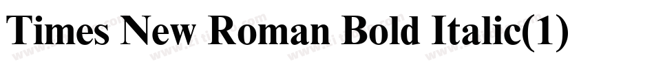 Times New Roman Bold Italic(1)字体转换